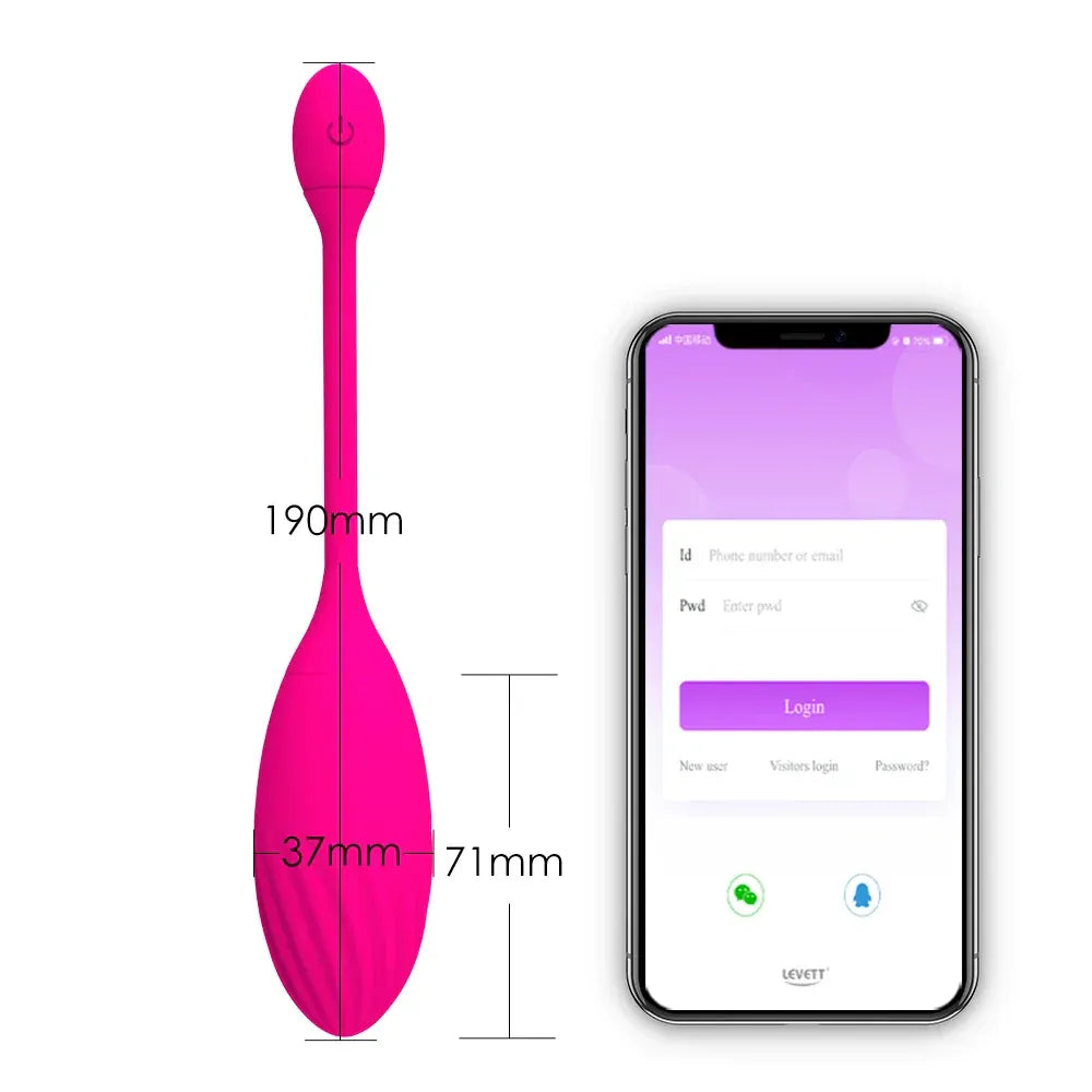 2022 Wearable Vibrator For Women Kegel Ball G Spot Massager