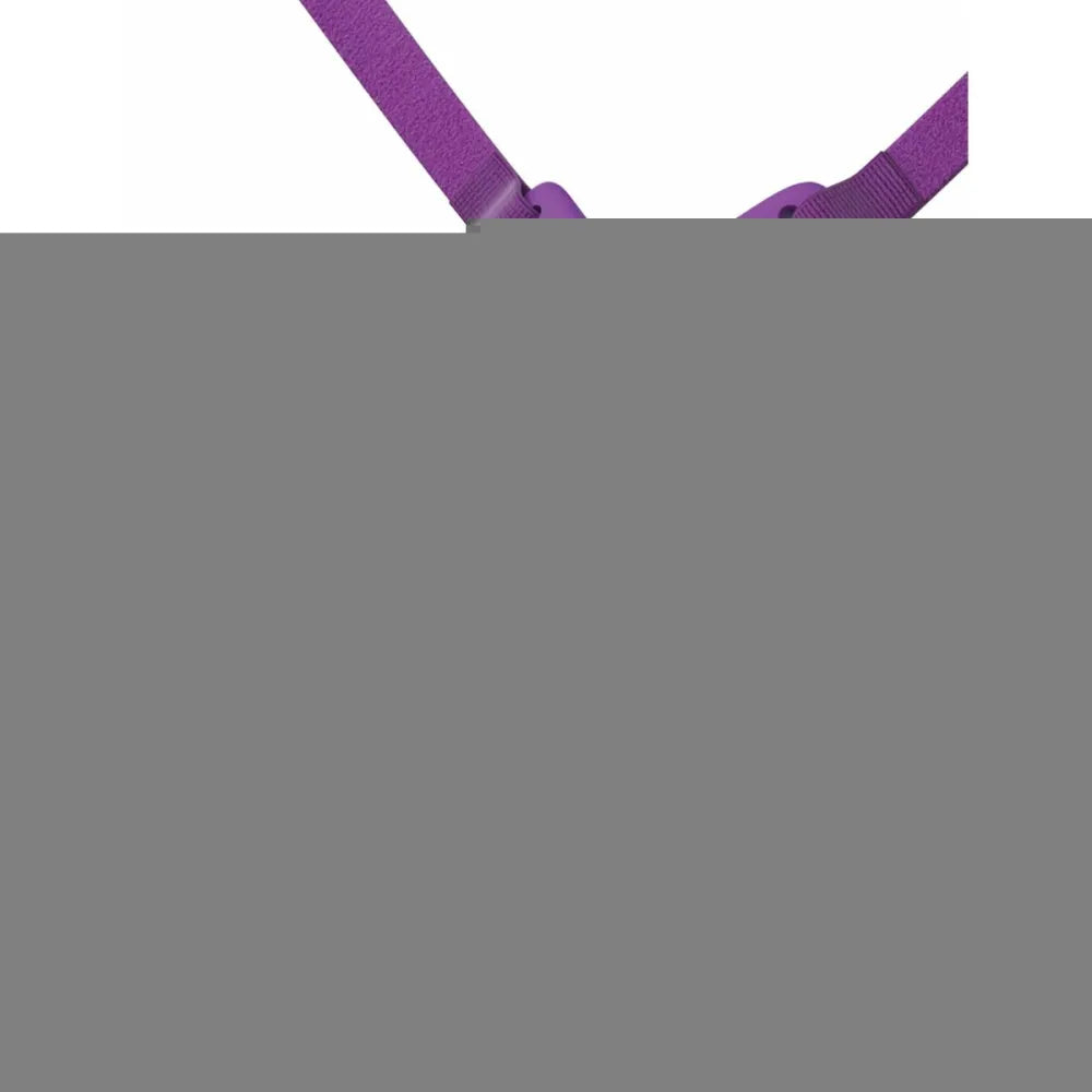 G Spot Vibrator Pipedream Purple